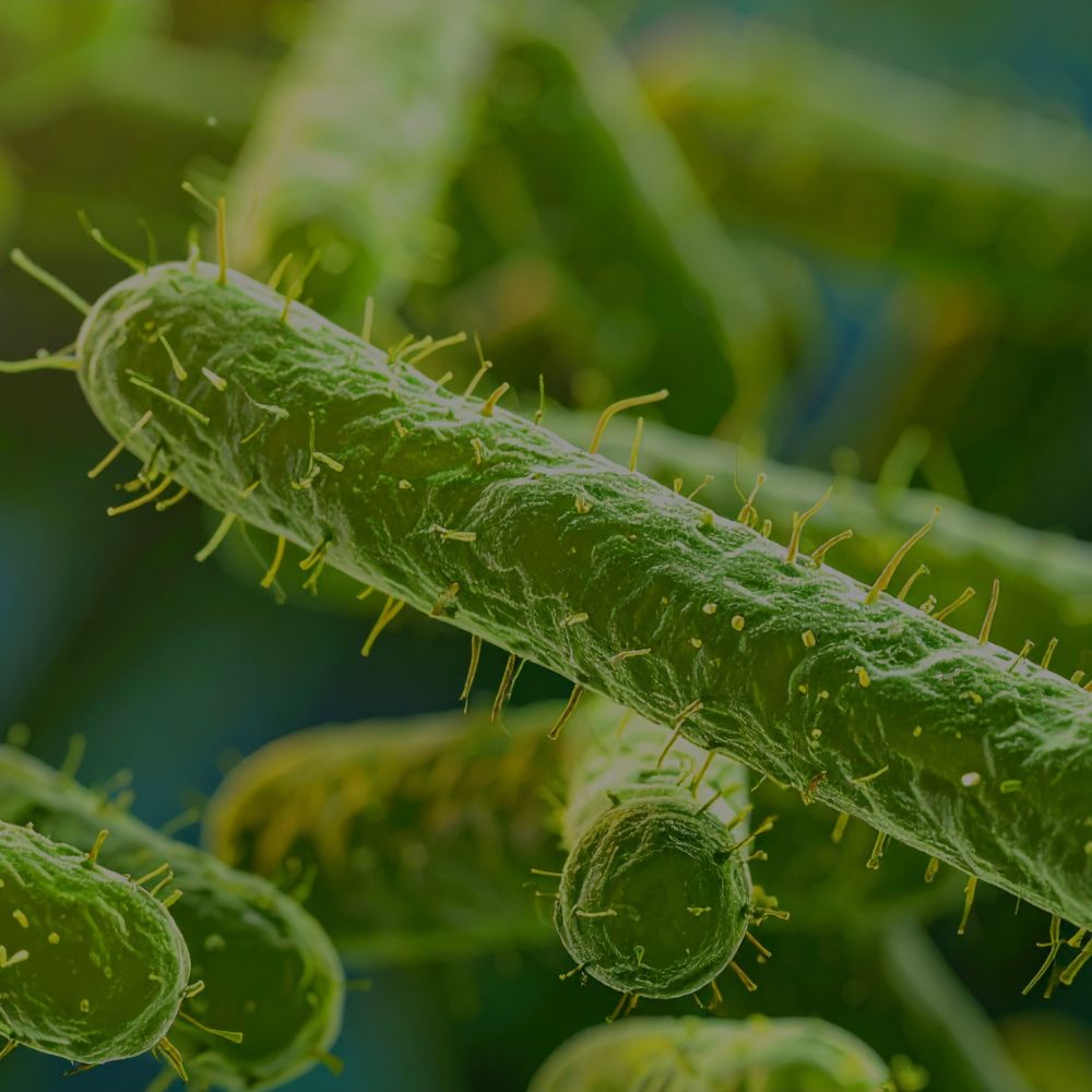 Trattamenti di sanificazione contro la legionella