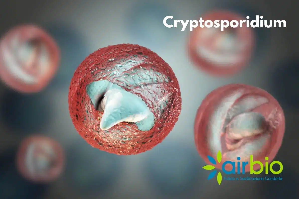 Cryptosporidium parassita diffuso nelle acque reflue Cryptosporidium parassita diffuso nelle acque reflue