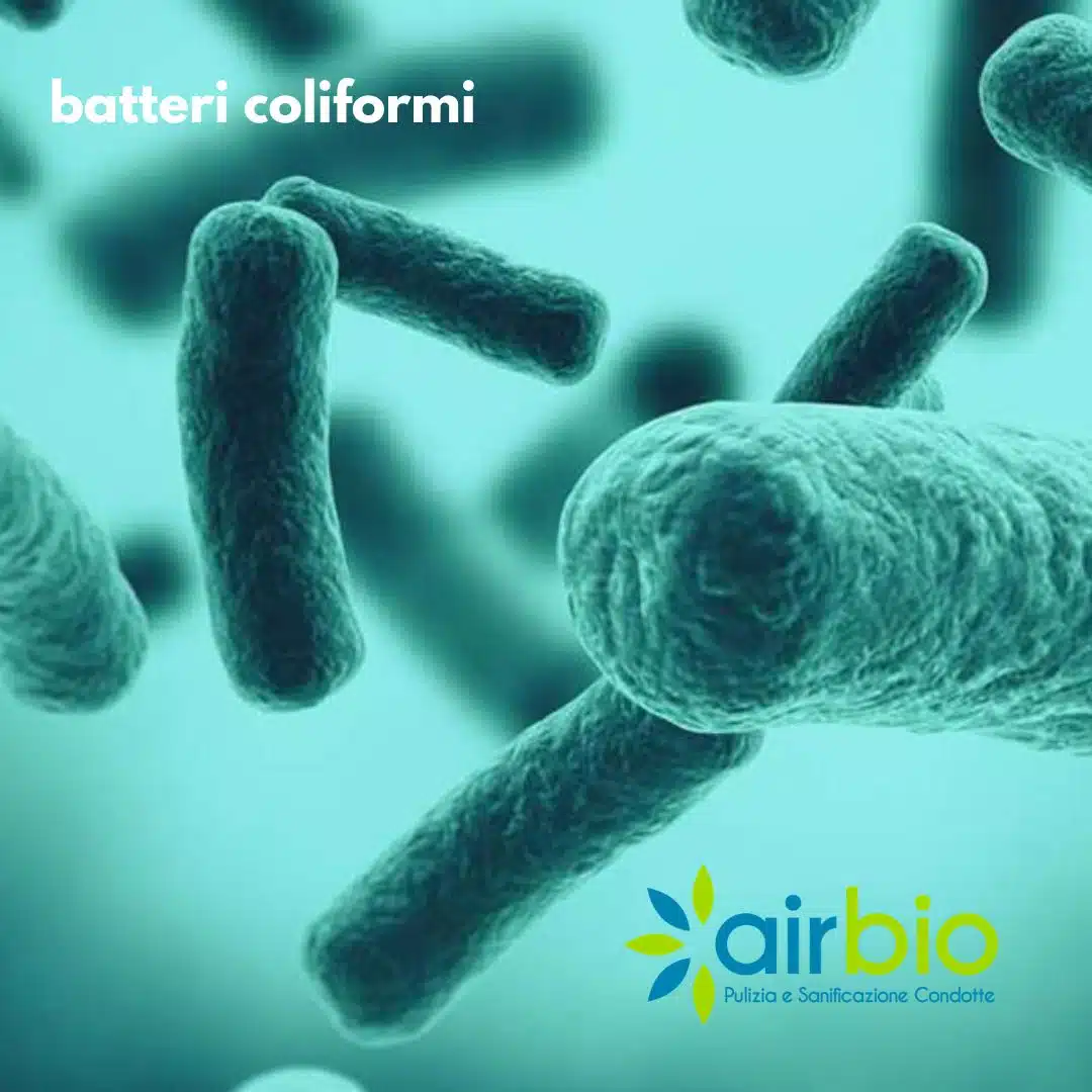 Batteri Coliformi Batteri Coliformi