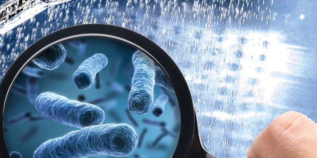 Batteri nell’acqua e legionella bonifica impianti idrici Batteri nell'acqua e legionella bonifica impianti idrici
