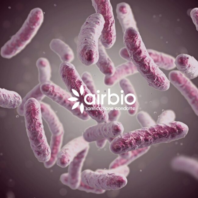 legionella-rischi-e-prevenzione Legionella, cos'è rischi e prevenzione negli impianti idrici