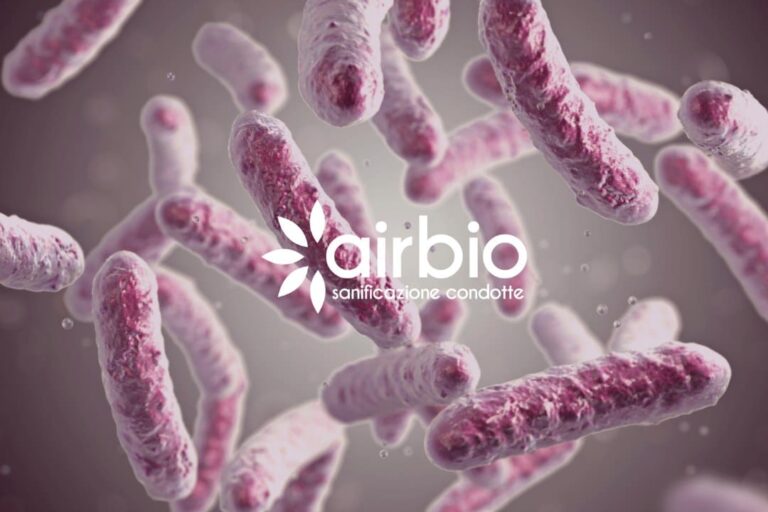 Legionella, cos'è rischi e prevenzione negli impianti idrici