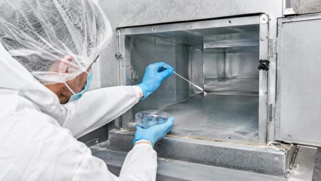 Operatore con DPI esegue un campionamento microbiologico con tampone all’interno di una condotta aeraulica, con piastra Petri in mano
